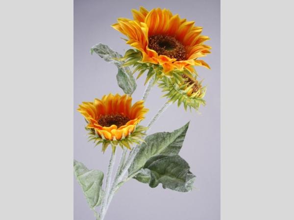 Sonnenblume Heliantus X3 L90cm L90cm