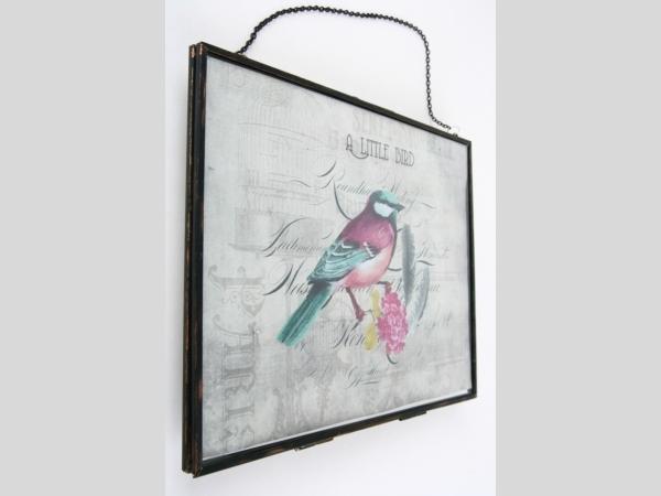 Bild im Metallrahmen Motiv Vogel LittleBird       B26 H20cm