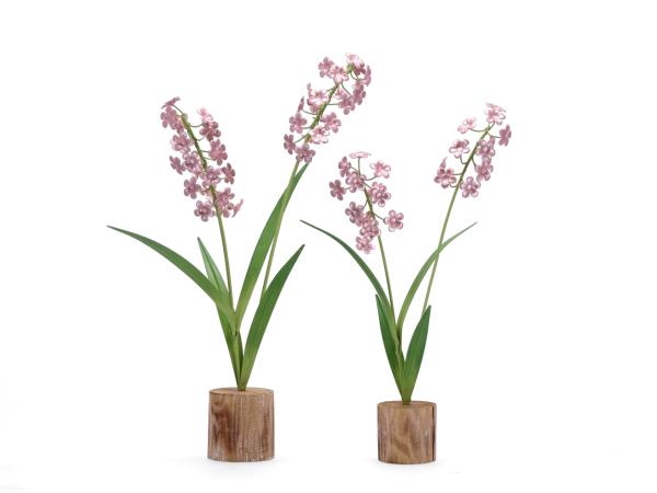 Deko Wiesenblüte pearl-mix a Holzfuss 2Grö sort   H33-40cm