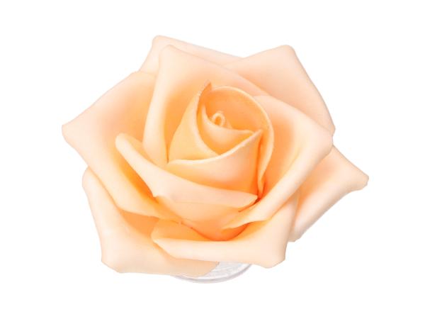 Rose Schaumblüte Lara D7 L25cm