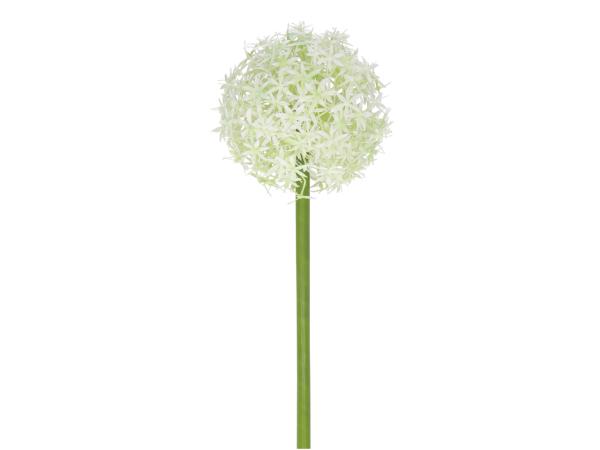 Allium KST D14 L76cm