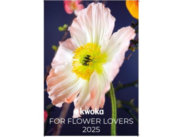 KALENDER 2025 KWOKA- FOR FLOWER LOVERS (UVP 16,95) H49 B34cm