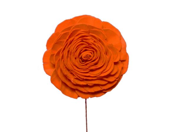Rose Solablüte beauty 9cm orange D9cm